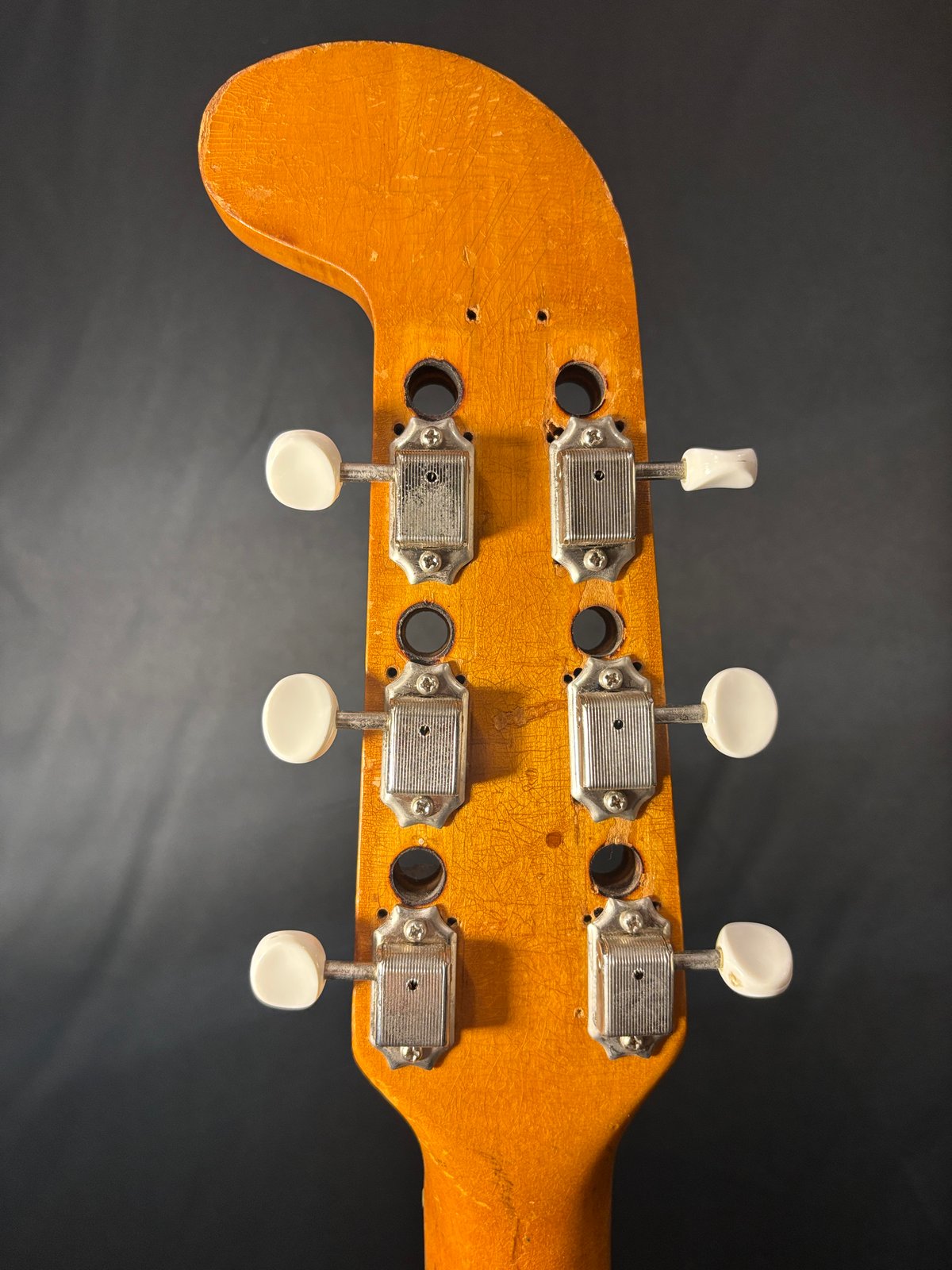 ヴェルテ様 楽天市場】VERSACE ヴェルサーチ キャラクター メデューサ