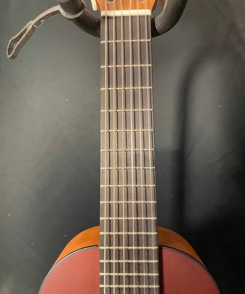 ギター purikyuu Amazon | Boya&Ziqi ヘッドレスエレキギター LIZARD-6,ファン