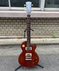 Gibson USA Les Paul Special　t.m.p　MOD