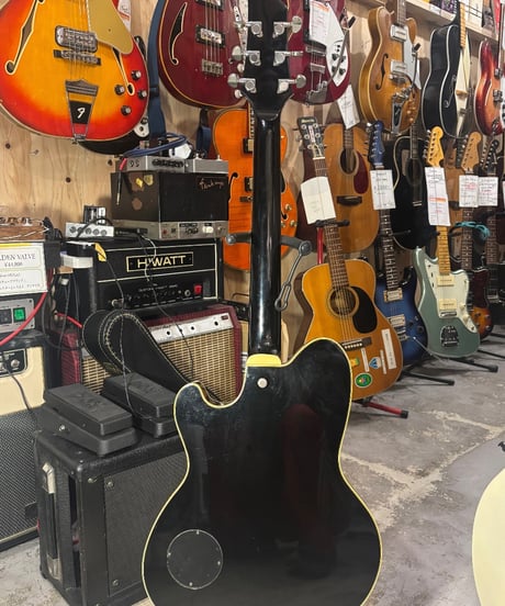 Ibanez talman TM71