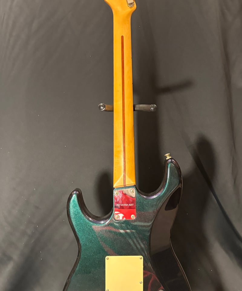 レア自主制作盤 THE FRANKEN MISTY BROTHERS BAND レア自主制作盤 THE FRANKEN MISTY BROTHERS BAND