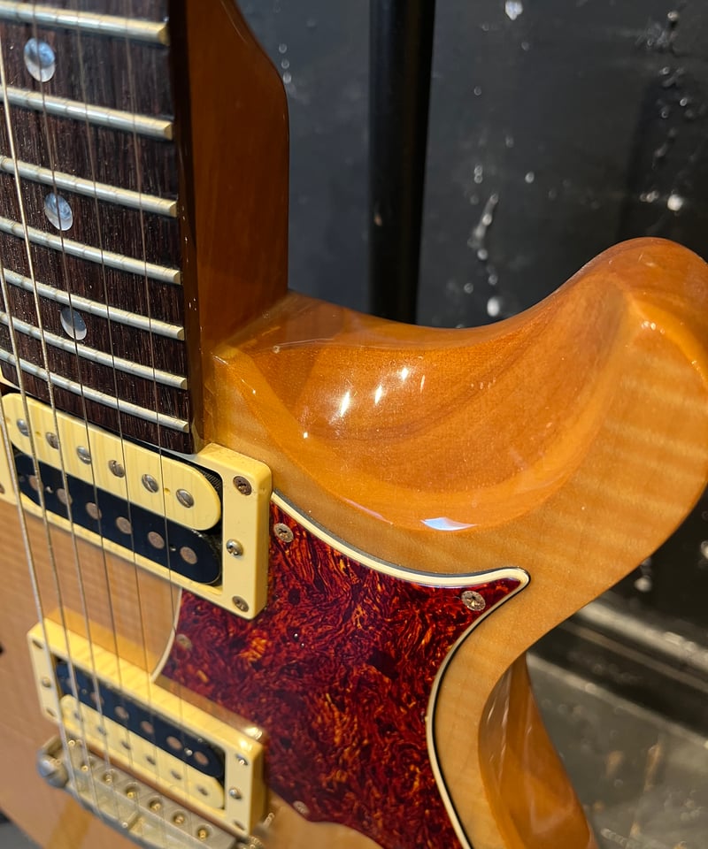 PRS SE CUSTOM | ギター屋funk ojisan