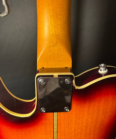 Fender '66 Electric XII Neck Component Tele-Gib "No.26"