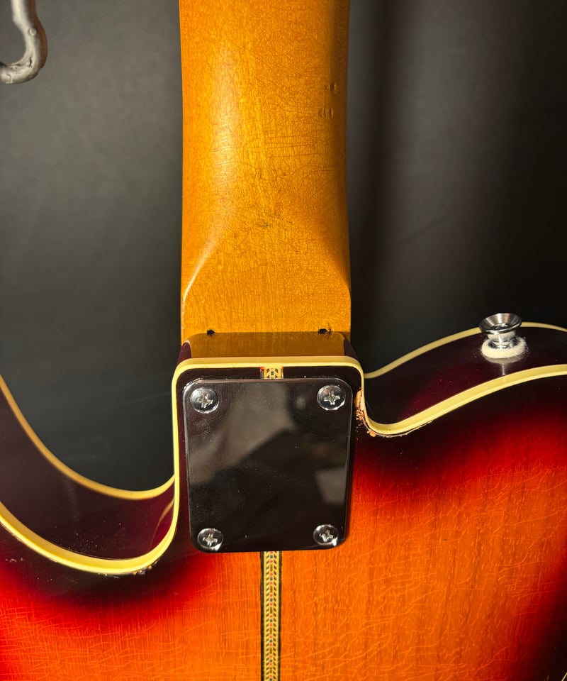 Fender '66 Electric XII Neck Component Tele-Gib