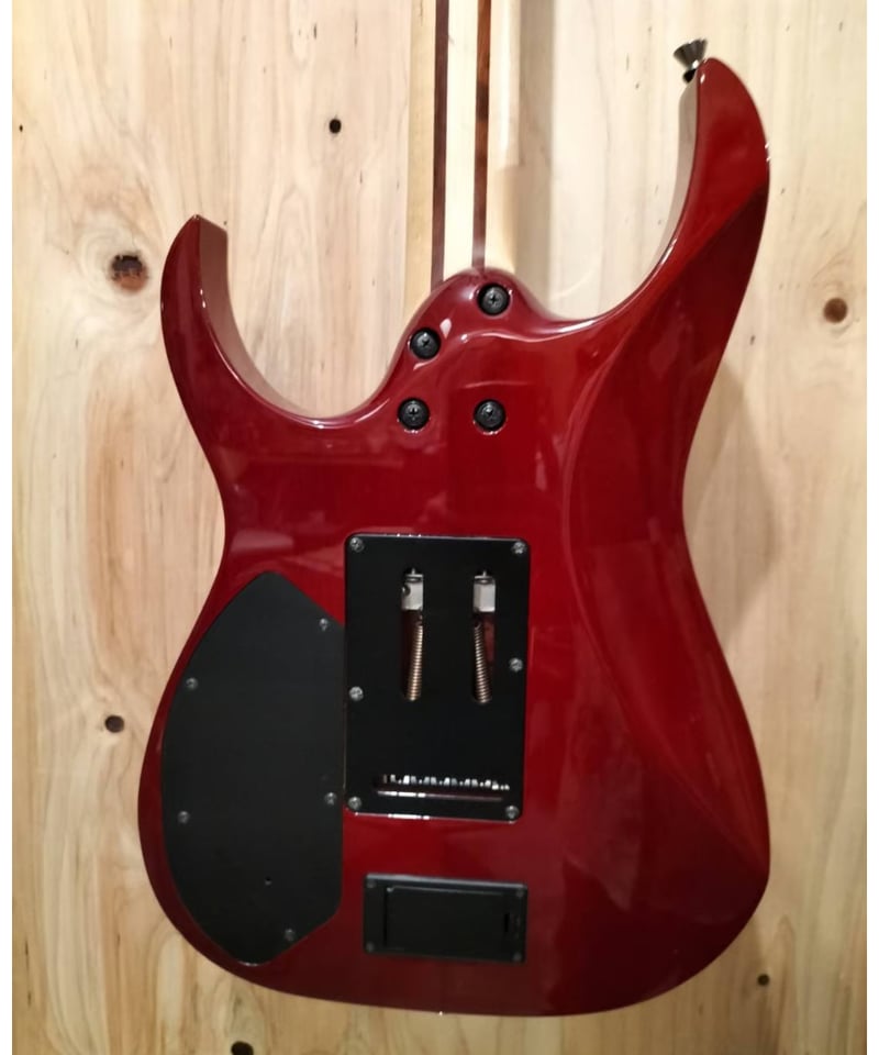 Ibanez j.custom RG8670DR | ギター屋funk ojisan Ibanez j.custom RG8670DR | ギター屋funk ojisan