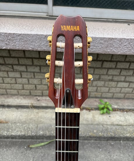 YAMAHA APX-5NA
