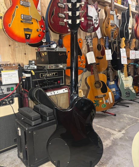 Ibanez talman TM71