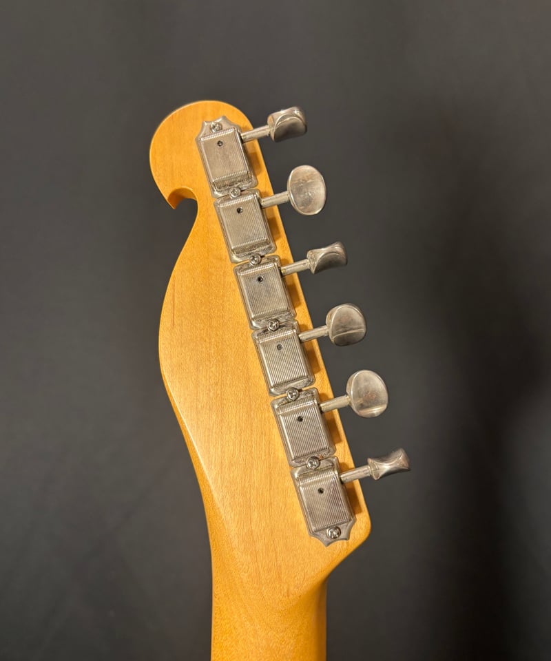 Bill Lawrence BTOM-60P （PRINCESS PRINCESS 奥井 香モ