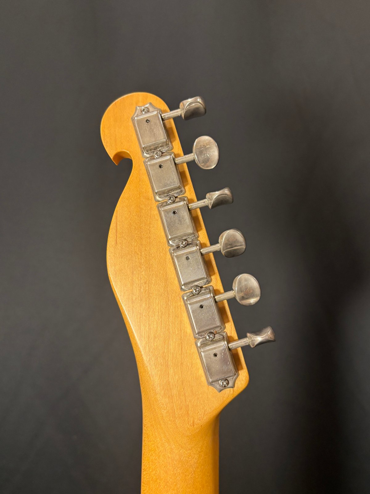 Bill Lawrence BTOM-60P （PRINCESS PRINCESS 奥居 香モ