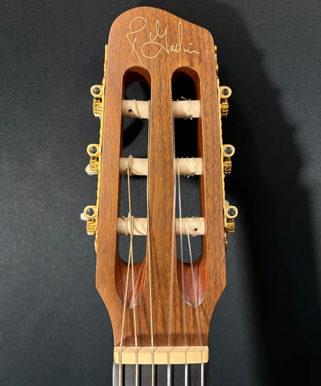 Godin　Multiac Nylon SA