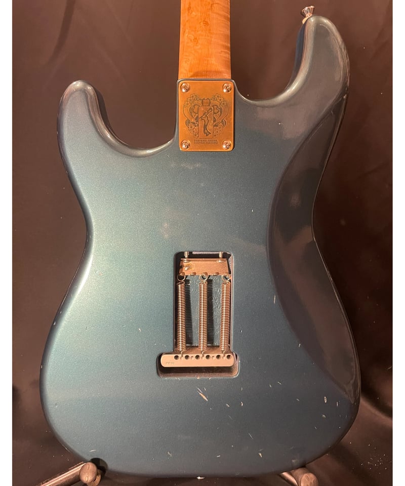 Wisteria Guitars Slidecaster 2018年製 | ギター屋funk