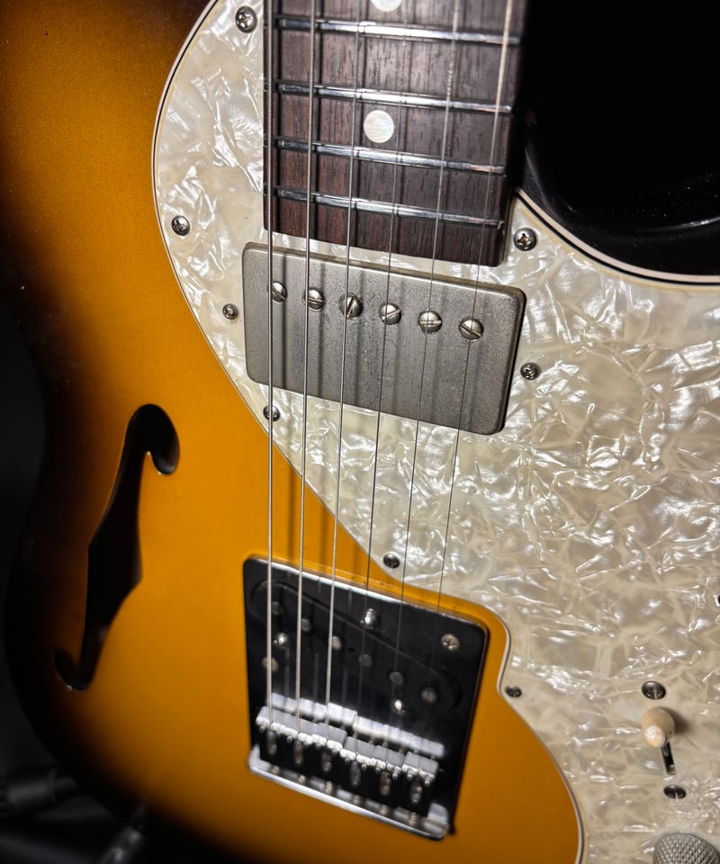 FREEDOM CUSTOM GUITAR RESEARCH Black Pepper 20