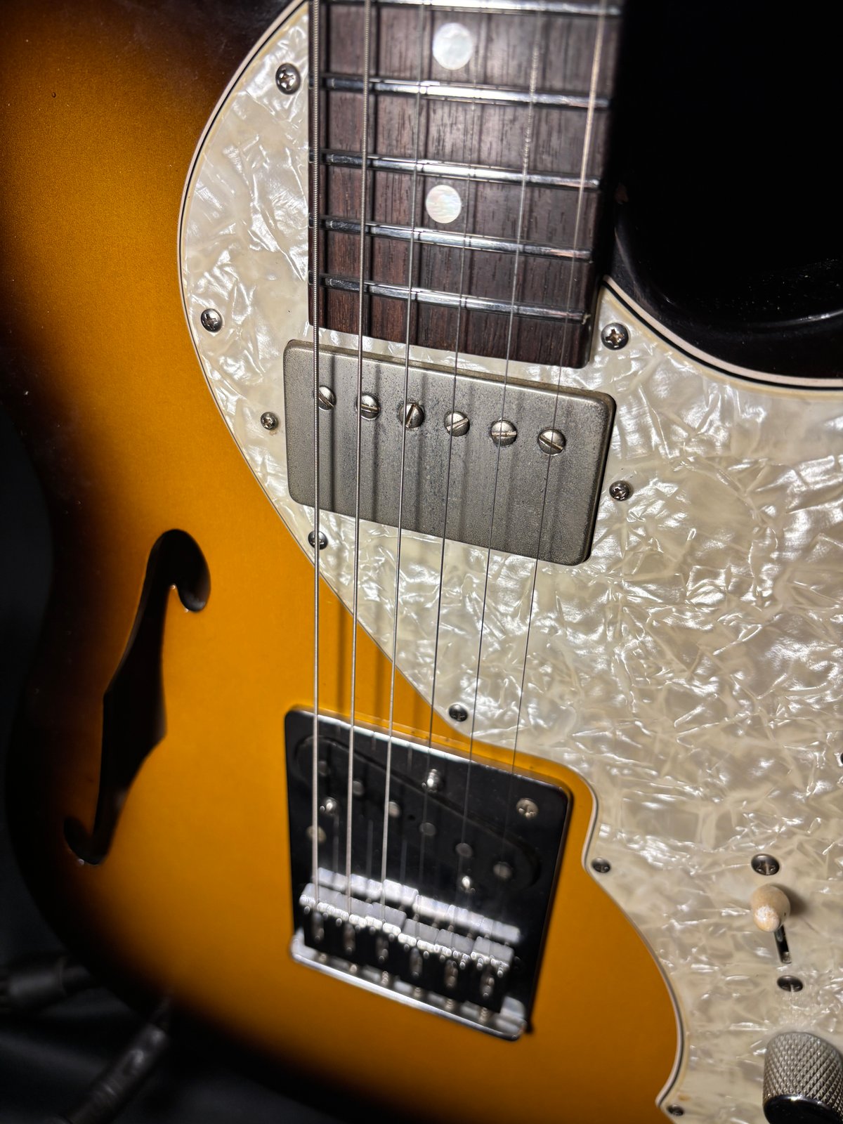 FREEDOM CUSTOM GUITAR RESEARCH Black Pepper 20