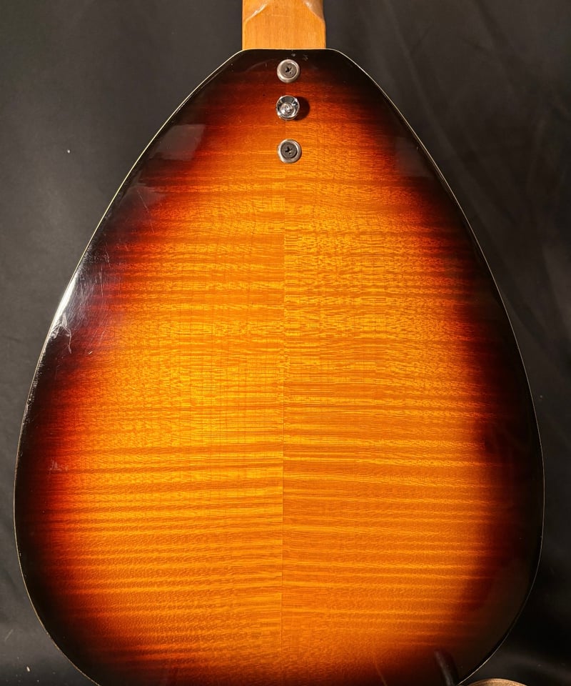 Danelectro Coral Teadrop Mod. 1960年代後半製 | ギター屋f