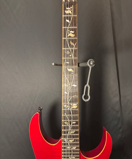 Ibanez j.custom RG8570DR