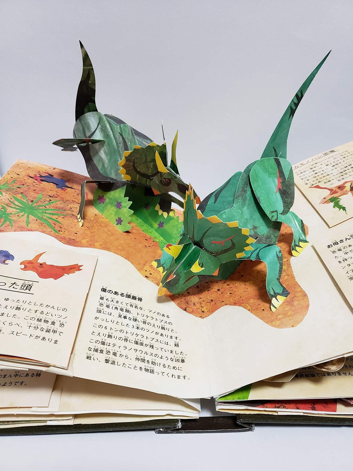 【2点購入150円引】ポップアップ絵本 恐竜　きょうりゅう 2点購入150円引】ポップアップ絵本 恐竜 きょうりゅう - メルカリ