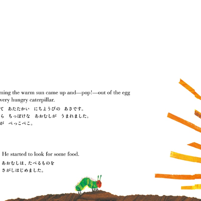 穴あきしかけ 英語でも読める（あおむし） ＃00119C | しかけ絵本専門