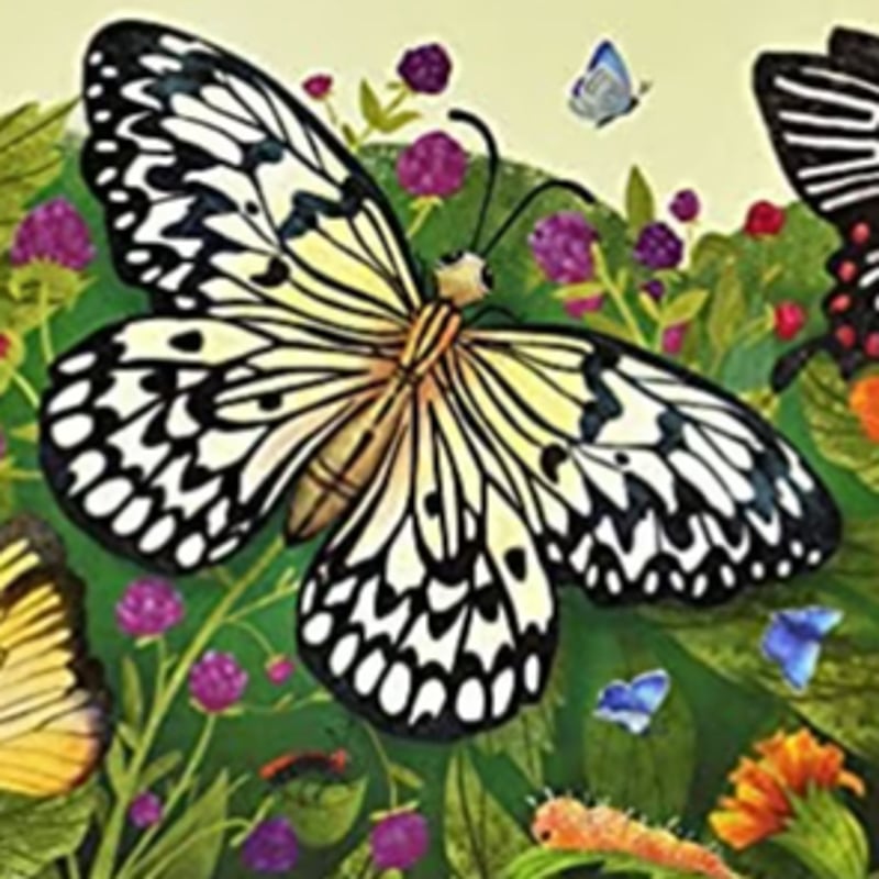 蝶 とびだすPop-up ＃0737 | しかけ絵本専門店 森のかくれんぼ