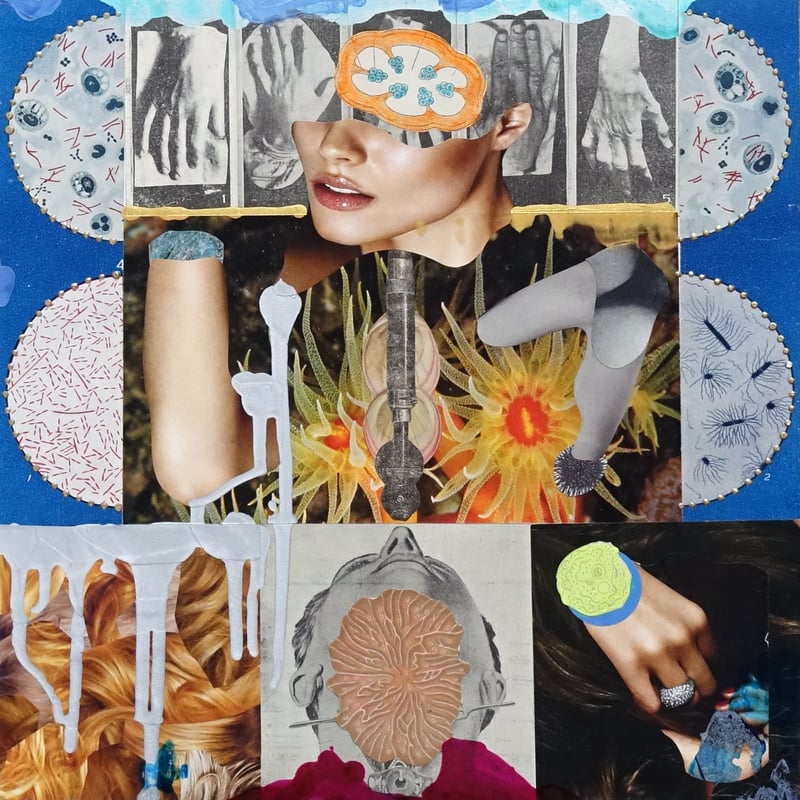 人体コラージュ 表裏一体 no.6 / 加藤良1両面コラージュ作品 | KNOCK ART