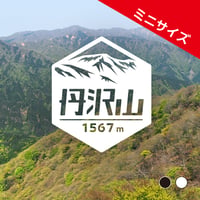 ミニ「丹沢山」　カッティングステッカー　ヘキサ