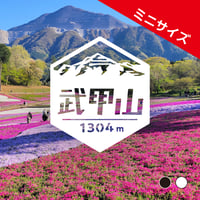 ミニ「武甲山」　カッティングステッカー　ヘキサ