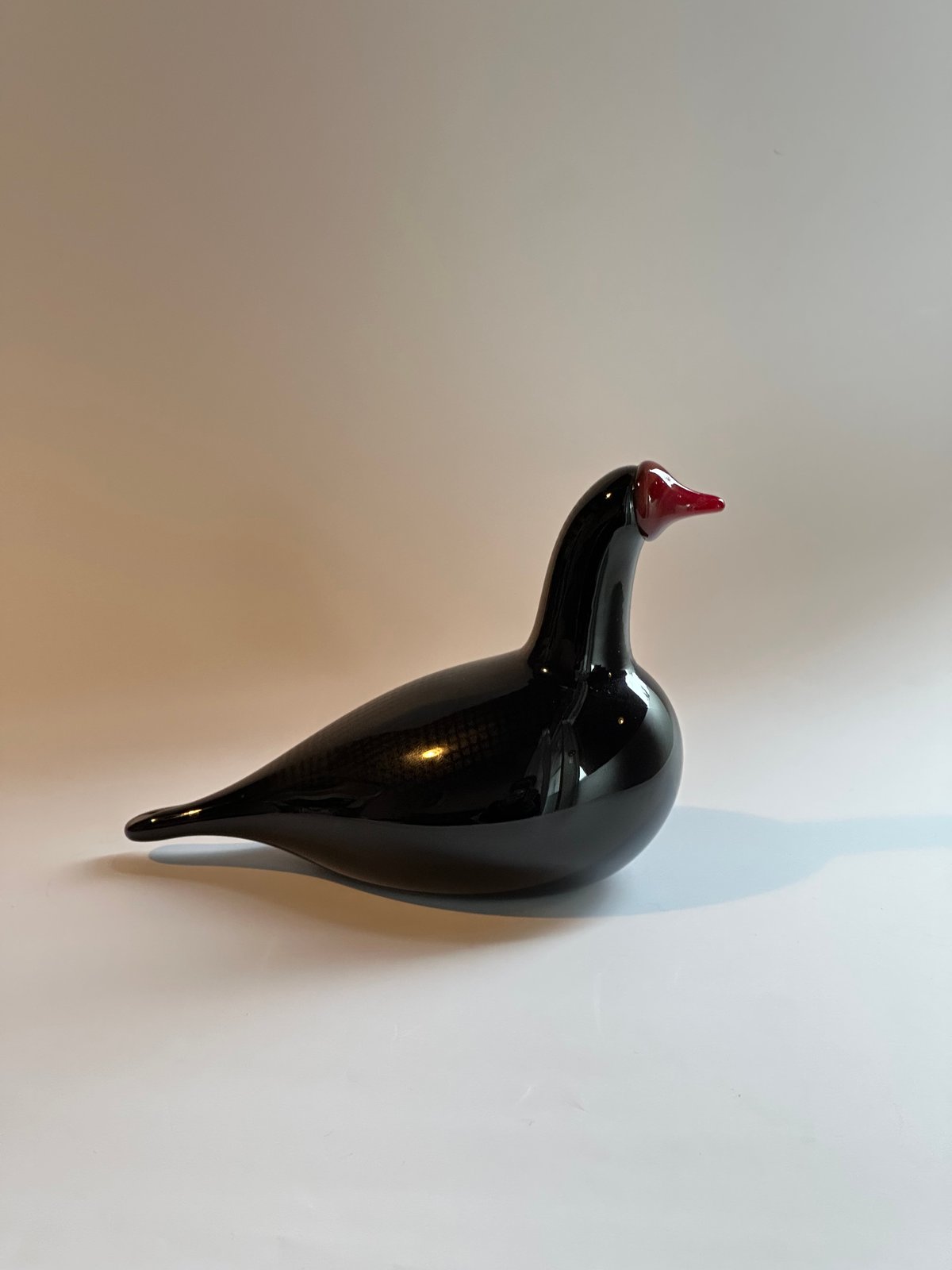 Oiva Toikka/オイヴァ・トイッカ》Bald Coot/イッタラバード/オオバン