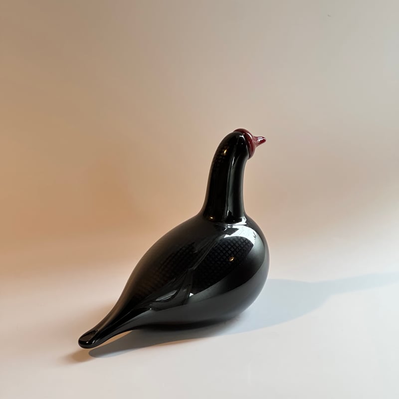 【未使用】 Oiva Toikka Frutta ブランケット 未使用】 Oiva Toikka Frutta ブランケット 未使用】iittala