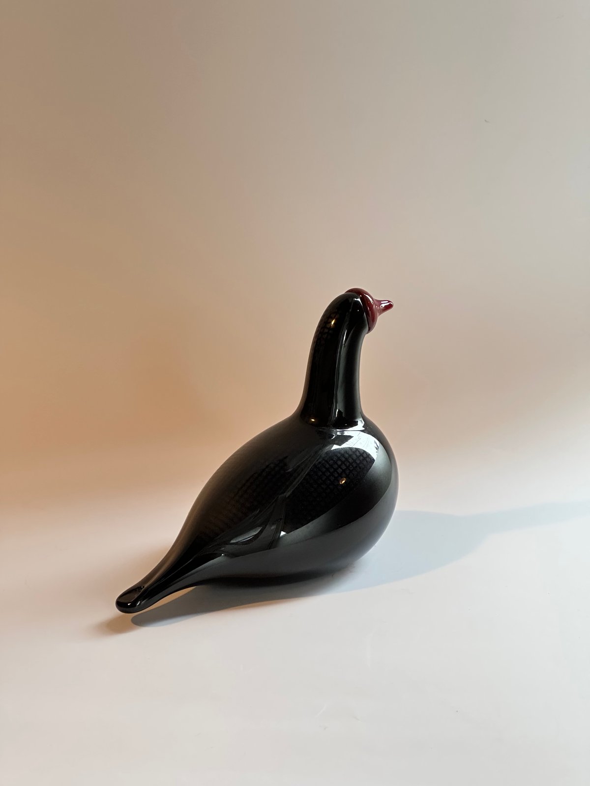 【未使用】 Oiva Toikka Frutta ブランケット Oiva Toikka/オイバトイッカ/Frutta/フルッタ/タンブラー