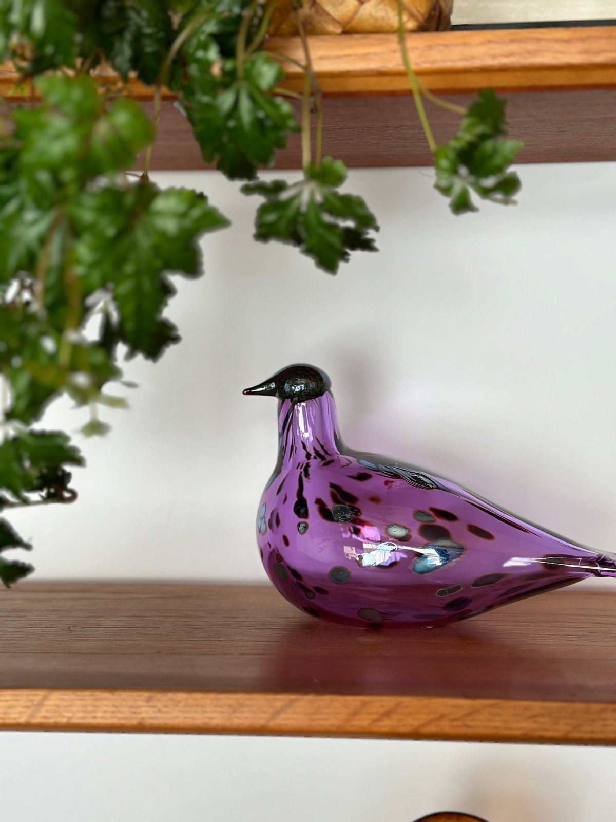 Purple Finch オイバトイッカ　イッタラ　バード　oiva Purple Finch オイバトイッカ イッタラ バード oiva 【公式通販】