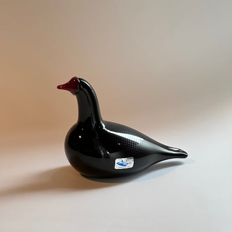 イッタラバード | STORES