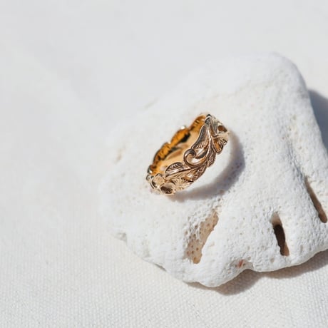 -- Garden ring --