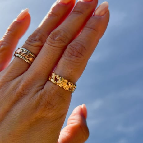 -- Garden ring --