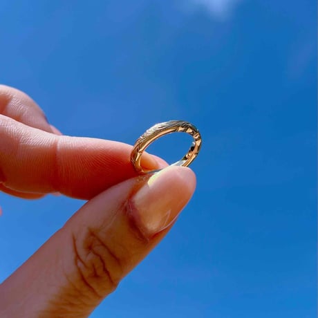 -- HONU ring --
