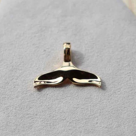 -- Whale tail TOP --