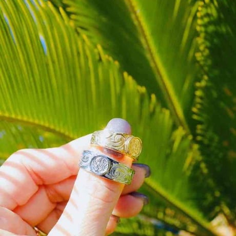-- Coin Ring --