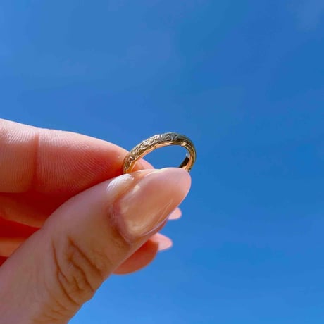 -- HONU ring --