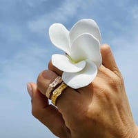 -- Belt  Ring --