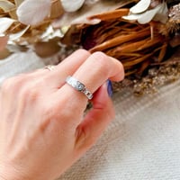 -- Plate chain ring --