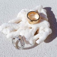 -- Coin Ring --