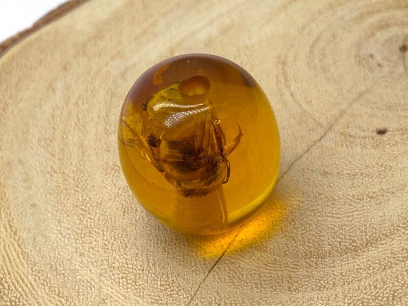 こはくページ 口答鑑別シート付 虫入り琥珀 鑑別付 通し穴有 天然こはく 21