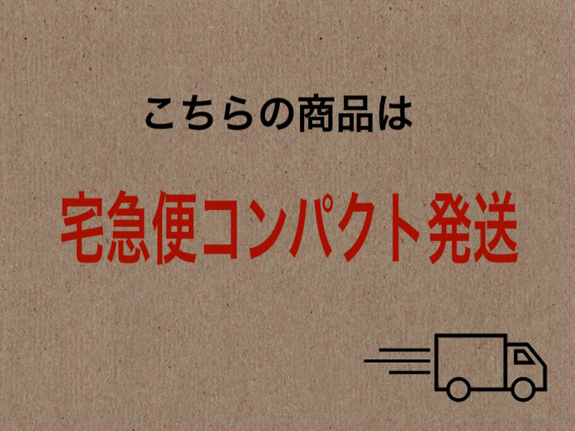 口答鑑別シート付 虫入り琥珀 鑑別付 通し穴有 天然こはく 21×18.5mm 
