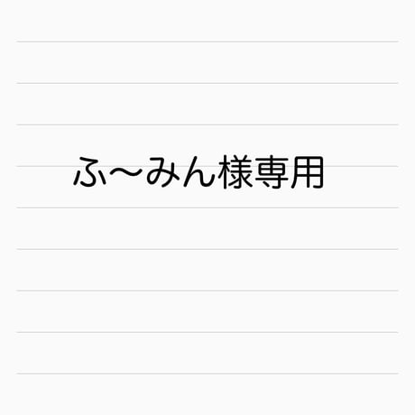 ふ〜みん様専用