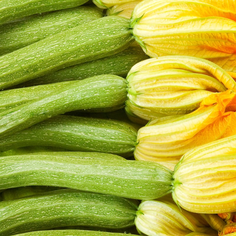 食卓をレストランに！自然栽培の花ズッキーニ 12本 | GLÜCK GARTENー奥