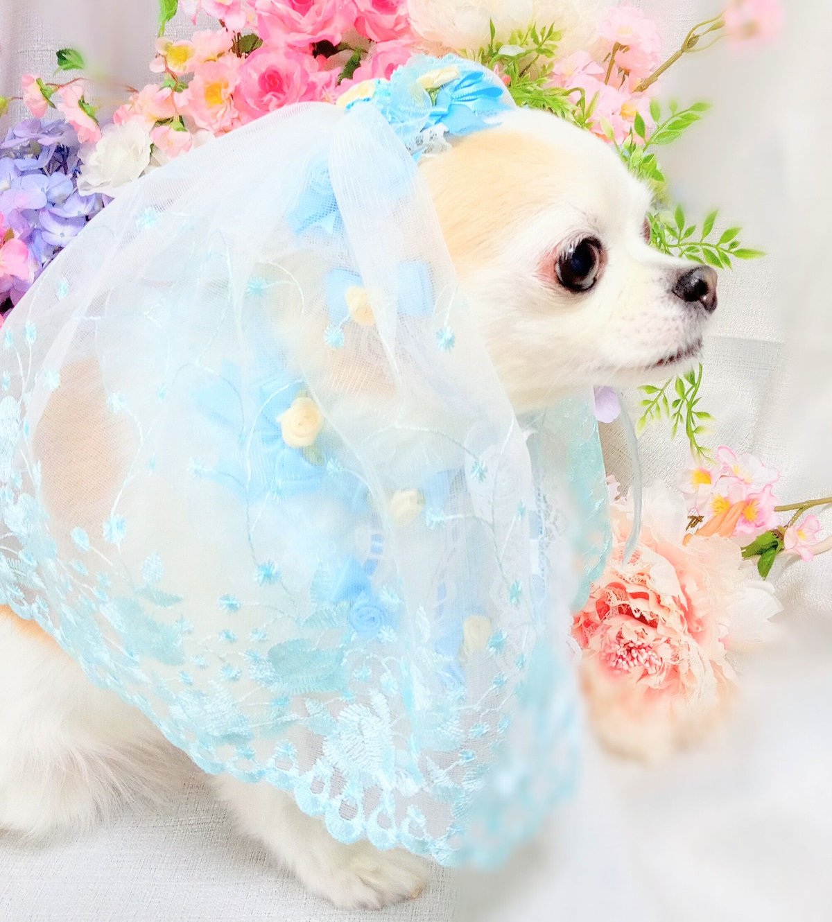 headdress veil ロングベール #V07 水色 | fururu.