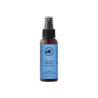 【2025リニューアル】クールミント ボディスプレー スーパーエクストラ 100mL PERFECT POTION