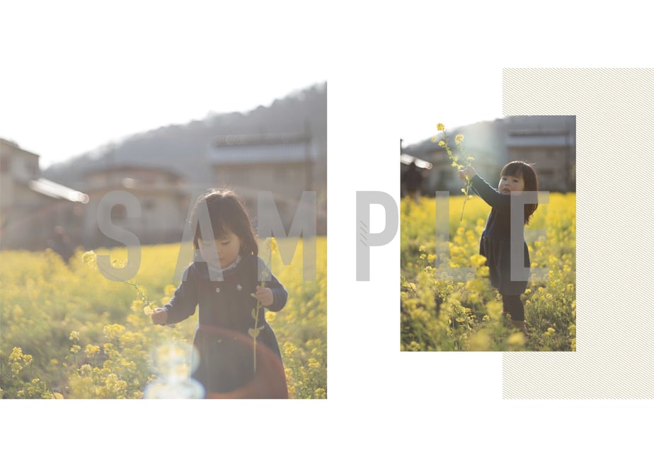69d4b6b951153c103f5016a4