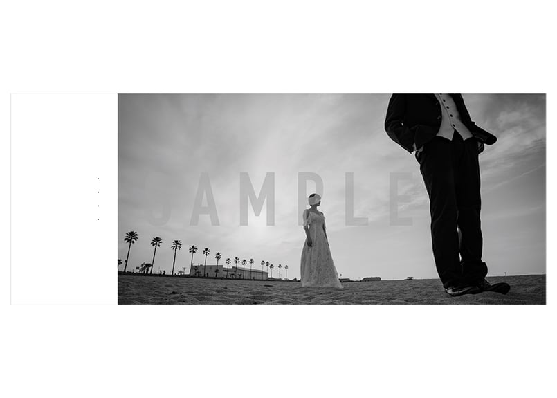 ウエディング］アルバム -V- | スタジオゼロ -ALBUM STORE-