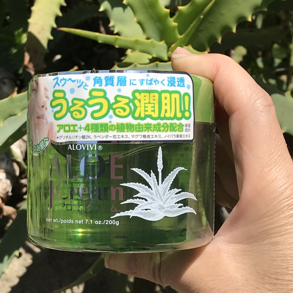 アロヴィヴィ アロエJクリーム ( 200g ) | 日本アロエセンター STORE