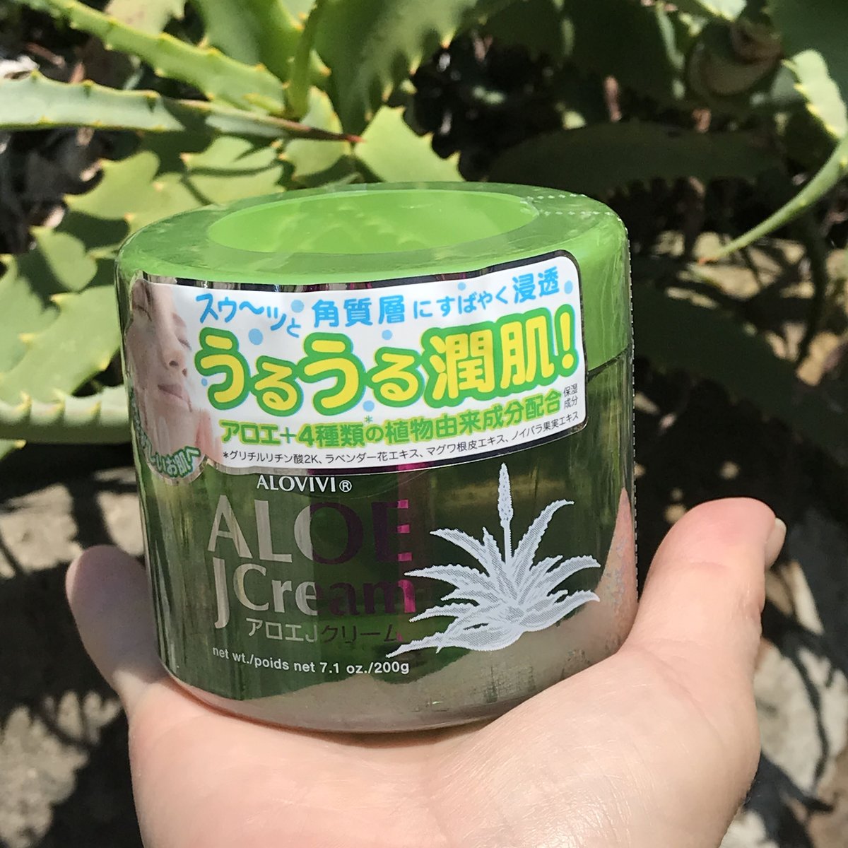 アロヴィヴィ アロエJクリーム ( 200g ) | 日本アロエセンター STORE