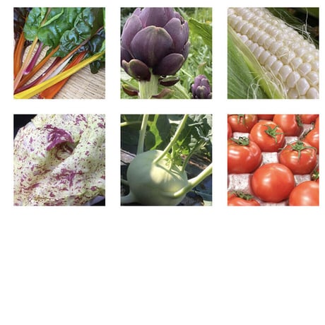 【Mセット】Dr.JUNセレクト 旬の朝採れ千葉野菜　（１回お試し）毎月旬のお野菜が月初のお届けとなります。